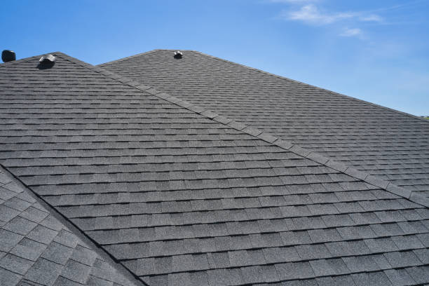 Best Roof Coating and Sealing  in Hornsby Bend, TX